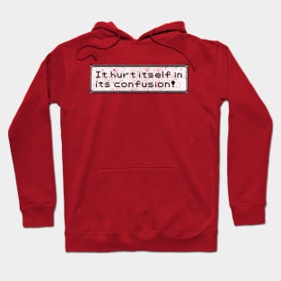 It Hurt Itself In Its Confusion Hoodie